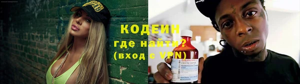 прущие грибы Армянск