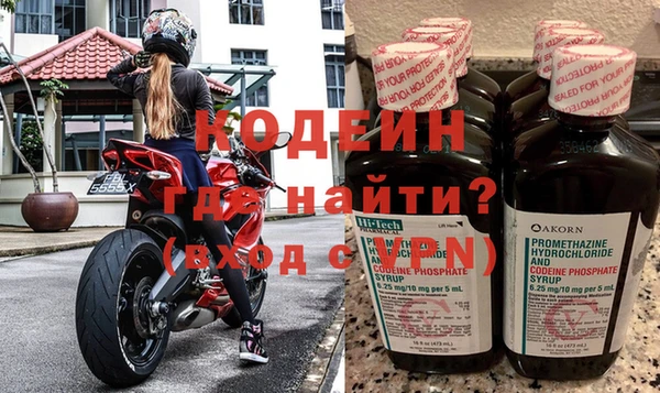 прущие грибы Армянск