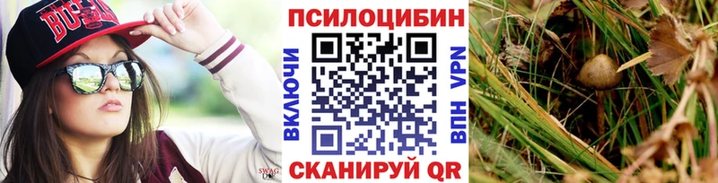 Псилоцибиновые грибы мицелий  Белогорск 